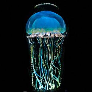 Glass Paperweight ~ Rick Satava ~ Moon Jellyfish Paperweight LTD