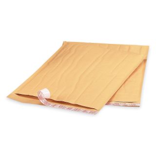 Relius Solutions Bubble Lined Mailers   10 1/2 X16   25 Count Box