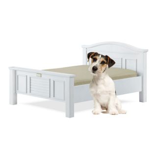 Aquatica Gallery LLC Classic Paws Tyson Furniture Style Pet Bed Collection  