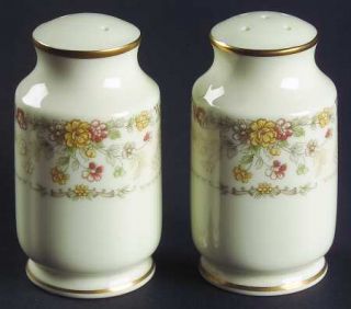 Noritake Salisbury Salt & Pepper Set, Fine China Dinnerware   Bone, Multicolor F