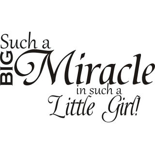 Such A Big Miracle In Such A Little Girl Vinyl Art Quote