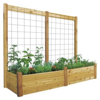 Gronomics Raised Garden Bed 48x95x13 with Trellis Kit   Finished