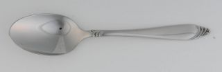 JA Henckels Passione (Stainless) Place/Oval Soup Spoon   Stainless, Premiere Ser