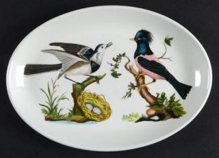 Portmeirion Birds Of Britain (Green Band On Rim) 10 Oval Steak Platter, Fine Ch