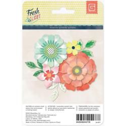 Fresh Cut Paper Flower Kit
