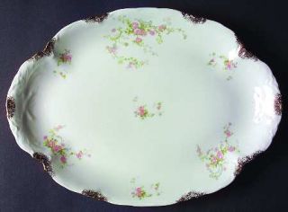 Warwick Old Abbey 13 Oval Serving Platter, Fine China Dinnerware   Pink Roses,