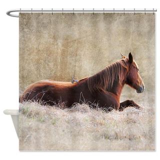  Unlikely Friends Shower Curtain  Use code FREECART at Checkout