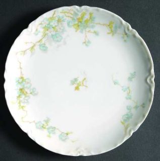 Haviland Schleiger 248b Coupe Bread & Butter Plate, Fine China Dinnerware   H&Co