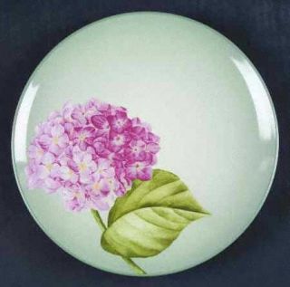 Noritake Colorwave Green Accent Salad Plate, Fine China Dinnerware   Colorwave,G