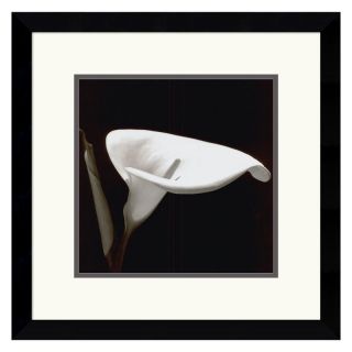 J and S Framing LLC Calla 3 Framed Wall Art   13.12W x 13.12H in. Multicolor  