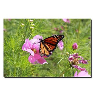 Trademark Global Inc Spring I Canvas Art by Cary Hahn   14W x 19H in.  