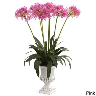 African Lily With Urn