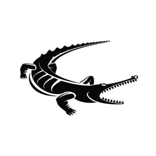 Crocodile Vinyl Wall Art Decal (BlackEasy to apply You will get the instructionDimensions 22 inches wide x 35 inches long )