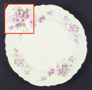 Homer Laughlin  R2734 Dinner Plate, Fine China Dinnerware   Republic Shape,Pink