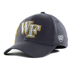 Wake Forest Demon Deacons Top of the World NCAA Molten Charcoal Cap