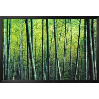 Art   The Bamboo Grove Framed Print