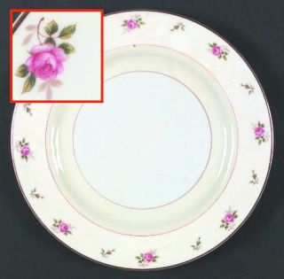 Fuji Rosebud Dinner Plate, Fine China Dinnerware   Pink Roses, Inner Cream Band,