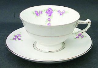 Heinrich   H&C Rosalinda Footed Cup & Saucer Set, Fine China Dinnerware   Roses