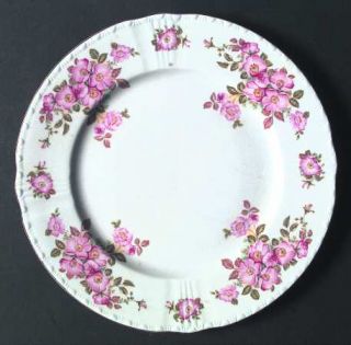 Royal Grafton Wild Rose Dinner Plate, Fine China Dinnerware   Jacobean Shape,Pin