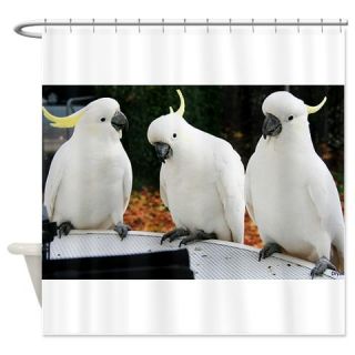  Afternoon Tea Gossips Shower Curtain  Use code FREECART at Checkout
