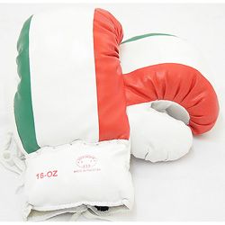 Defender 16 ounce Italian Flag Boxing Gloves