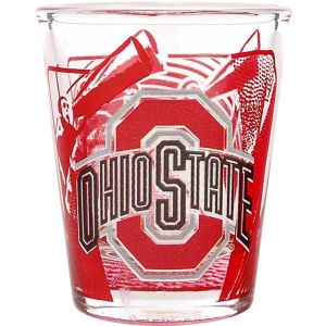 Ohio State Buckeyes 3D Wrap Color Collector Glass