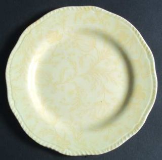 International Damask Ivory Salad Plate, Fine China Dinnerware   Light Floral Bac