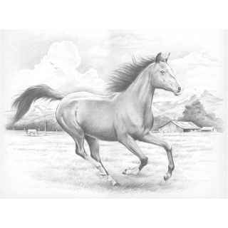 Sketching By Number Kit 11 1/2x15 1/2 galloping Horse (11 1/2x15 1/2 inches. Conforms to ASTM D4236. WARNING CHOKING HAZARD Small Parts. Not for children under 3 years. Imported. )