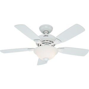 Hunter HUF 52080 Caraway Traditional Ceiling Fan with light