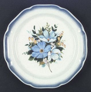 Mikasa NatureS Best Dinner Plate, Fine China Dinnerware   Country Club