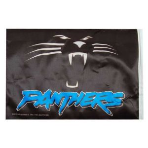 Carolina Panthers Rico Industries Car Flag