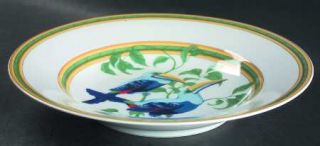 Hermes Toucans (Birds) Large Rim Soup Bowl, Fine China Dinnerware   Multicolor B