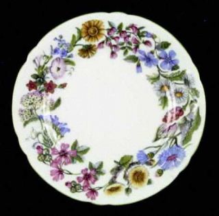 Shelley Hedgerow Bread & Butter Plate, Fine China Dinnerware   Multicolor Floral