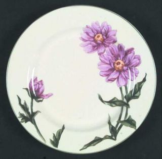 Retroneu Rhapsody Salad Plate, Fine China Dinnerware   Multimotif Floral,Rim,Gre