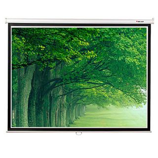 Redleaf 100 Inch Leaves 43 Manual Wall Projection Screen