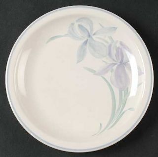 Pfaltzgraff Spring Song Salad Plate, Fine China Dinnerware   Perennials Coll, Pu