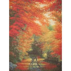 Autumn In New England Counted Cross Stitch Kit 16x12 16 Count