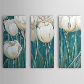 Hand Painted Oil Painting Floral White Tulip with Stretched Frame Set of 3 1309 FL0923
