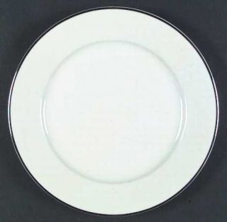 Erika Porzellan Erk1 Dinner Plate, Fine China Dinnerware   Platinum Trim Only,Sm