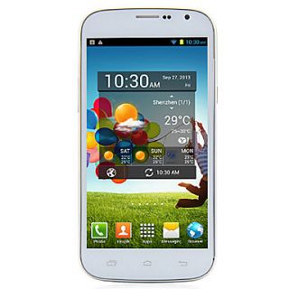 DooGee DG500C 5 Inch Capacitive Touchscreen Android 4.2 Smartphone(Quad Core,Dual SIM,Wifi,3G)