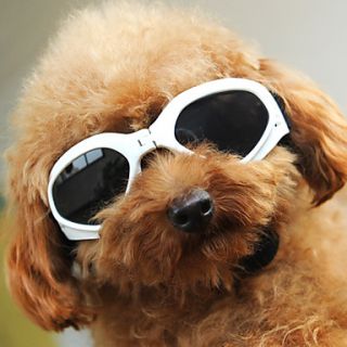 SEASONS Pets Fashion Sunglasses