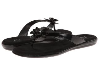 Aerosoles A2 by Aerosoles Torchlight Womens Sandals (Black)