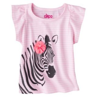 Circo Infant Toddler Girls Striped Zebra Tee   Primo Pink 18 M