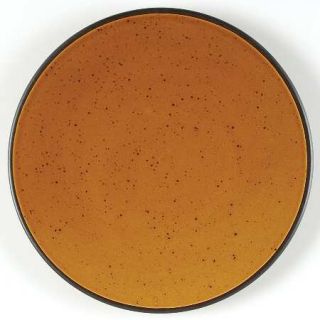 Home Trends Rave Amber Field Dinner Plate, Fine China Dinnerware   Amber/Brown,B