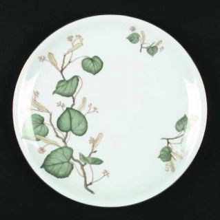 Eschenbach P488 Salad Plate, Fine China Dinnerware   Green And Yellow Leaves, Co