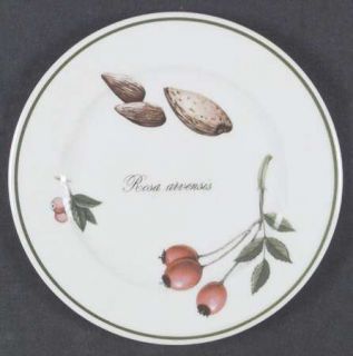 Apilco Elysian Gardens Bread & Butter Plate, Fine China Dinnerware   Flowers & F