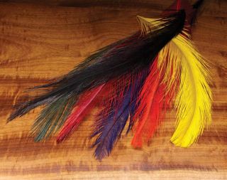 Rhea Intruder Feather, Black