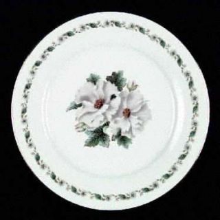 Noritake 5029 Dinner Plate, Fine China Dinnerware   White Flower Band & Center,