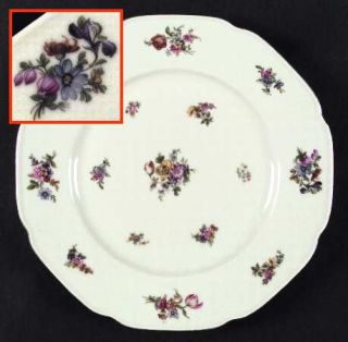Tirschenreuth Colwyn Dinner Plate, Fine China Dinnerware   Multicolor Flowers,Sc