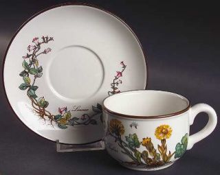 Villeroy & Boch Botanica Flat Cup & Saucer Set, Fine China Dinnerware   Various